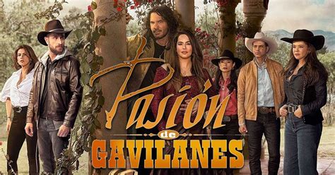 pasion de gavilanes parejas|Pasión de Gavilanes: ¿quienes son las parejas de。